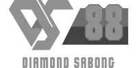 Sistemas Seguros logo
